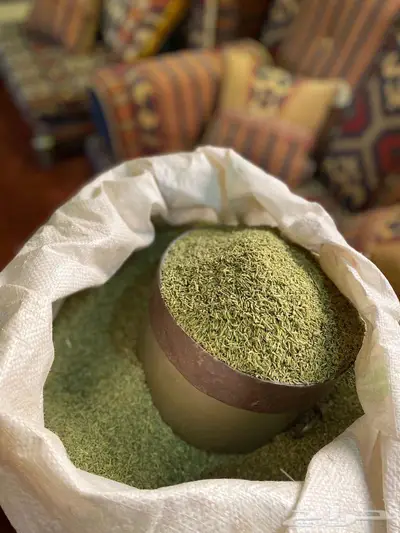 سنوت بلدي 2