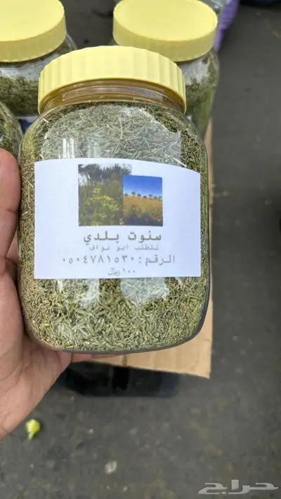 سنوت بلدي 1