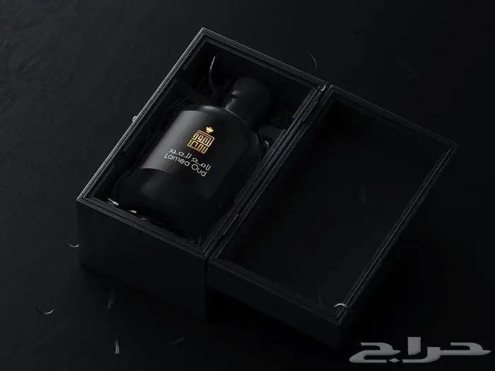 تصميم شعارات وهويات بصرية 11