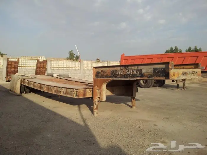 لوبد أمريكي للبيع 0