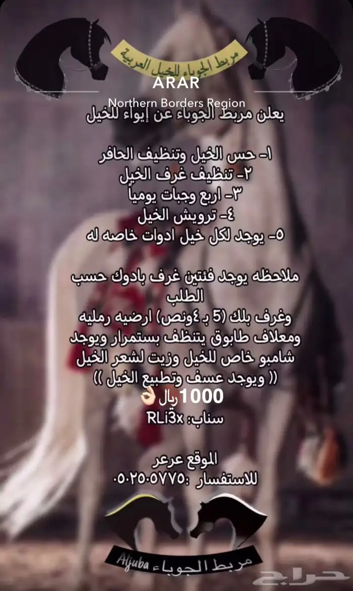 مربط الجوباء للخيل 1