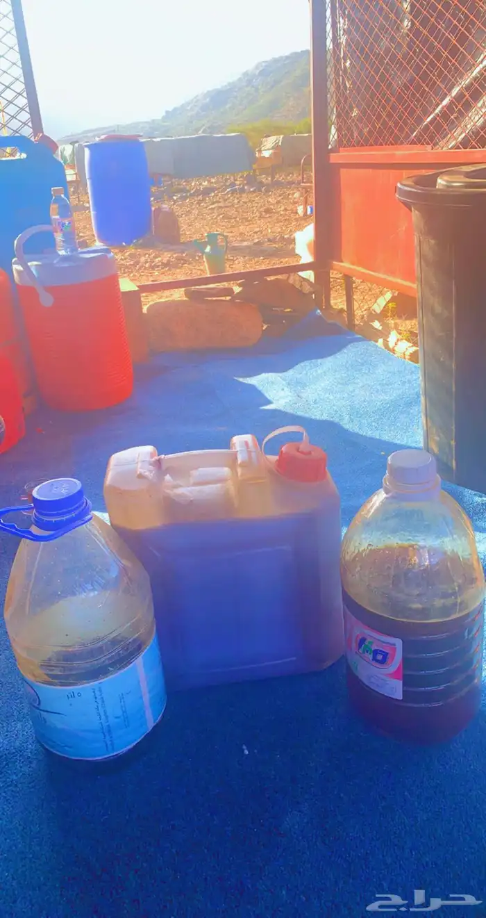 عسل من مناحلي سمره وطحلة وسدرة وقتادة وغذاء ملكات اصلي 0