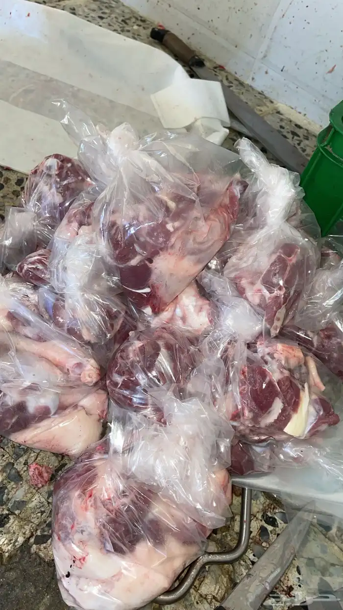 ذبائح طليان ورخال حري سواكني تيوس محايلي وعقيقةالتقيم مرتفع 14