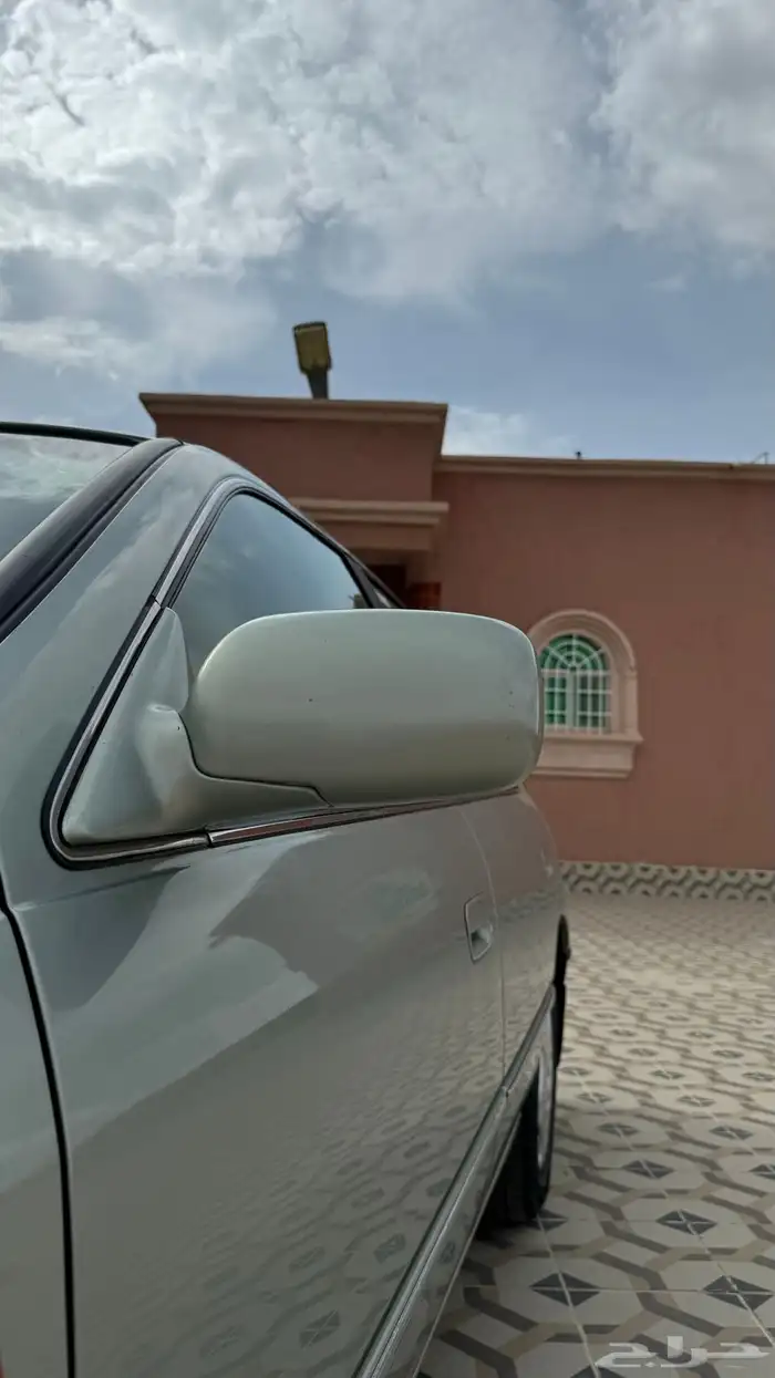 تم البيع الله يبارك لراعيها مخزنه 4