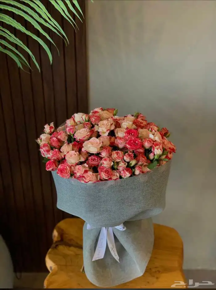 مندوب 1