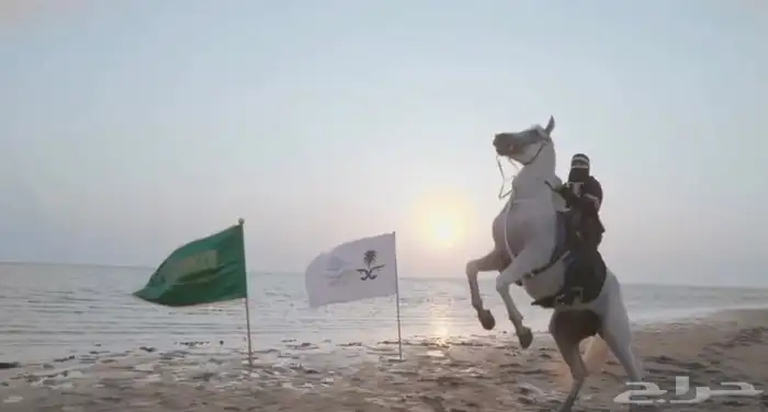 كل مايخص اليوم اليوم الوطني من خيول وفرسان وفارسات وخيام 1