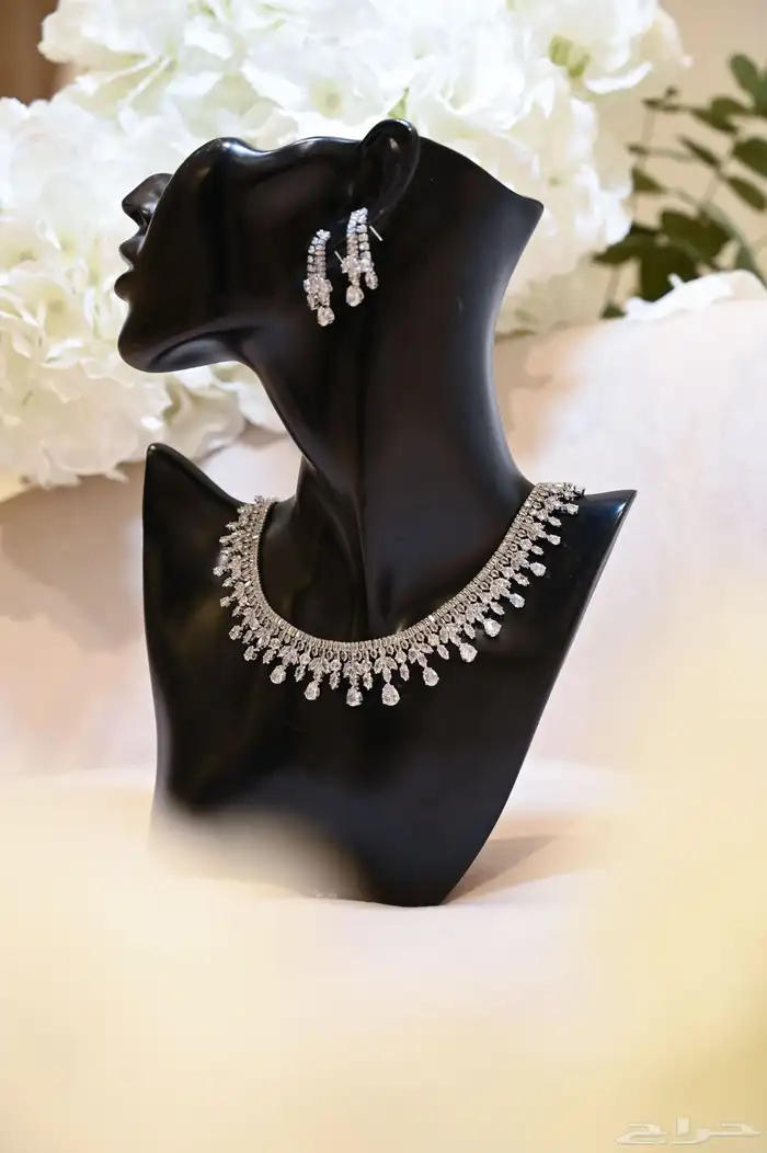 مصورة اعراس عروض لنهاية السنه 14