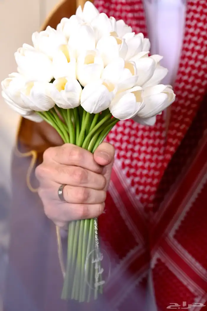 مصورة اعراس عروض لنهاية السنه 16