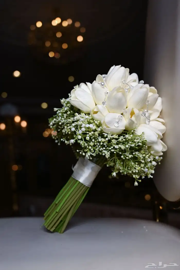 مصورة اعراس عروض لنهاية السنه 2
