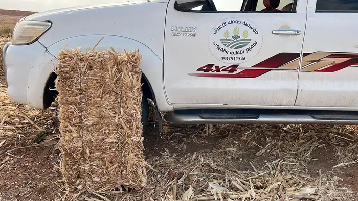 ذره شاميه التوصيل لجميع مناطق الدفع عند الوصول 3