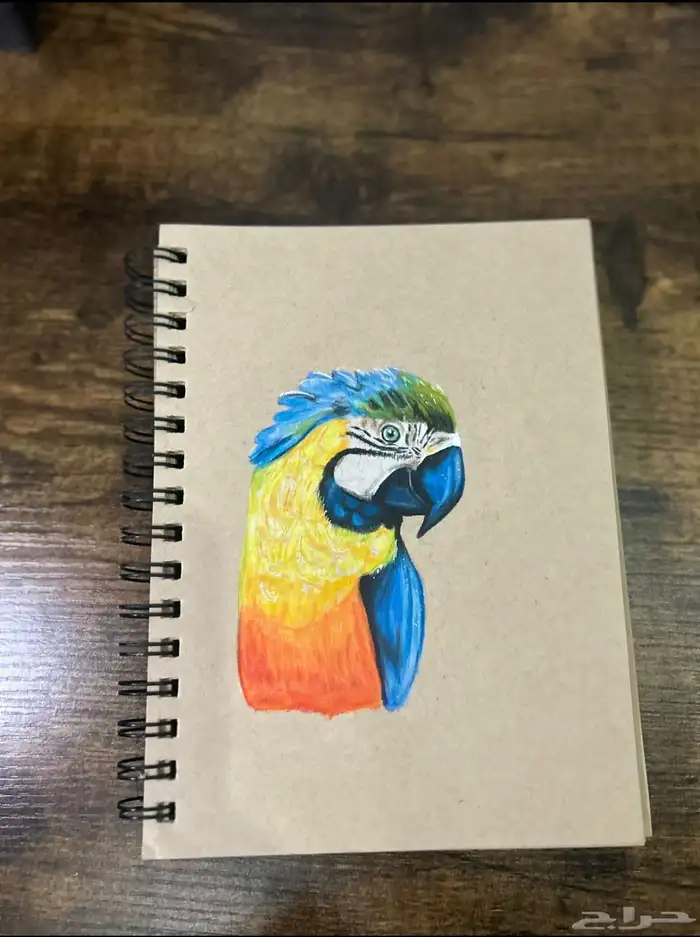 الرسامه فرح المشدق ارسم واصمم لوقو محلات وغيرها الكتير 10