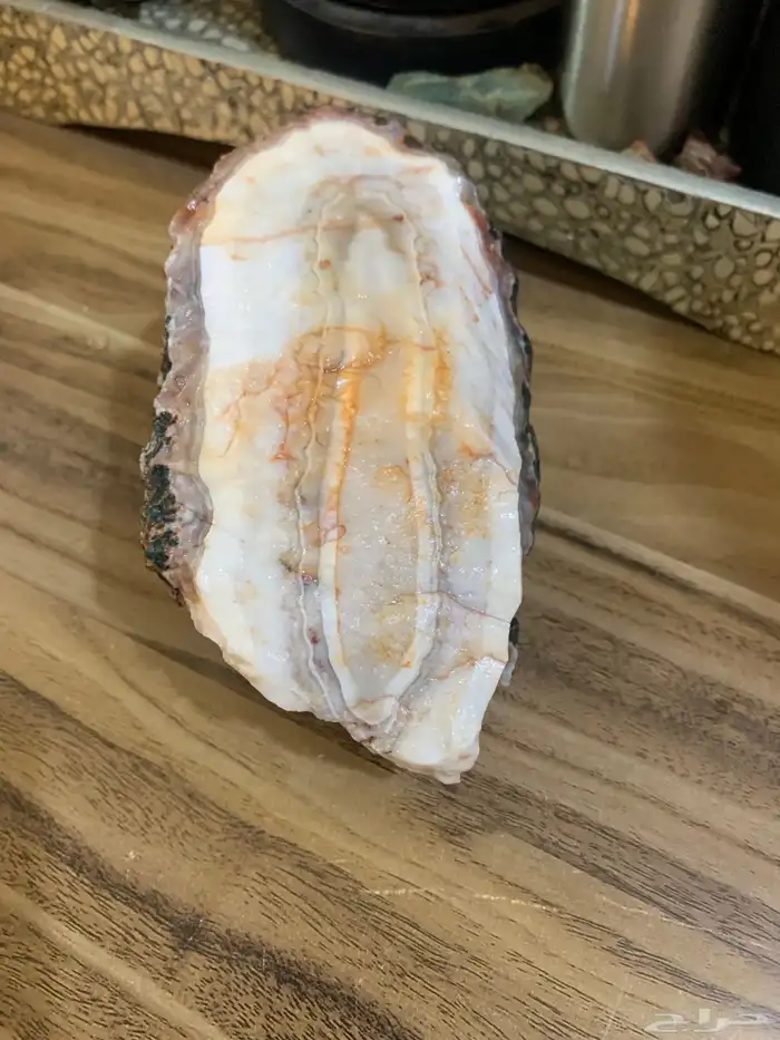 للبيع تحف من الطبيعه 23