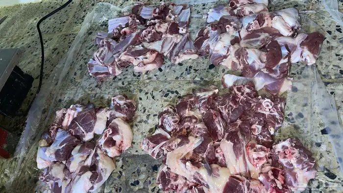 ذبائح طليان ورخال حري سواكني تيوس محايلي وعقيقةالتقيم مرتفع 12