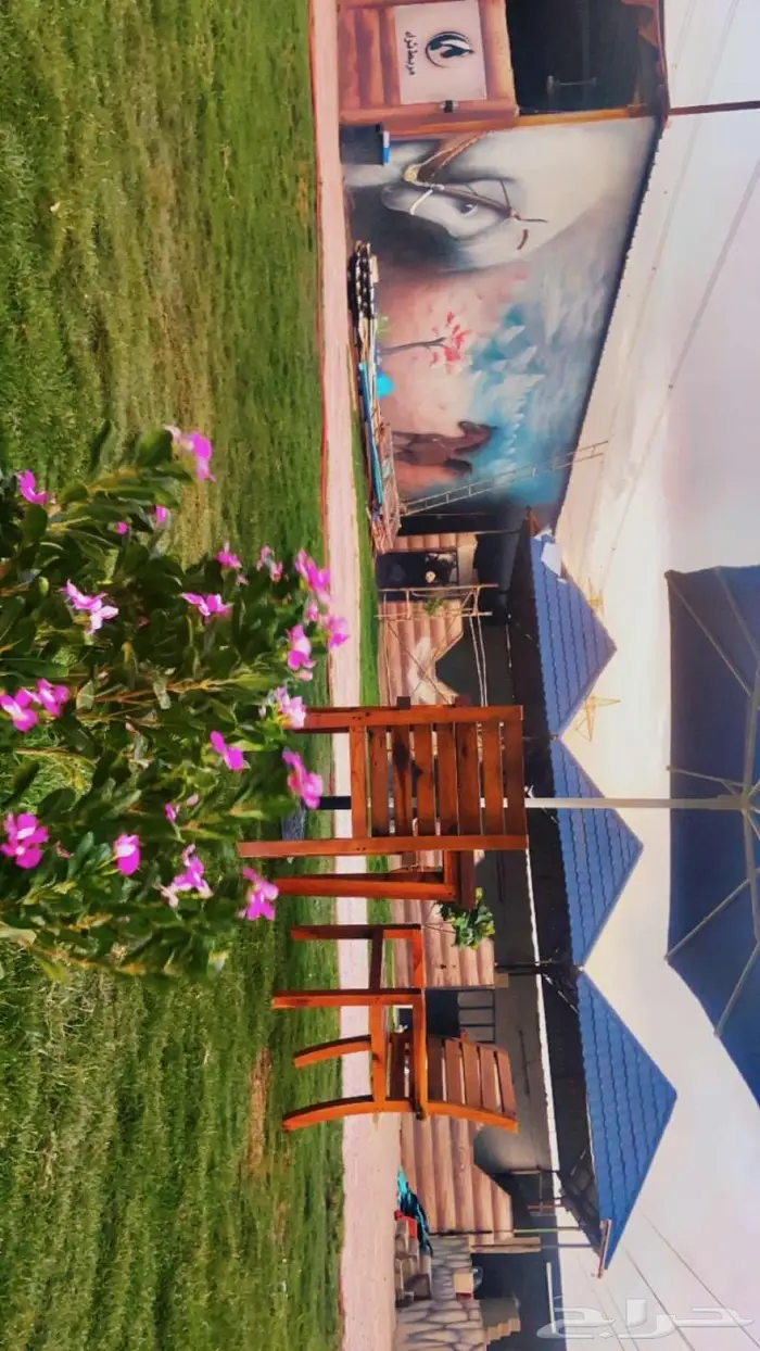 مربط واسطبل ايواء خيول فرس حصان ايجار غرف تدريب ركوب الخيل 13