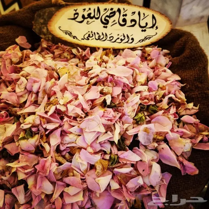 ورد فاخر فواح وقوي 3