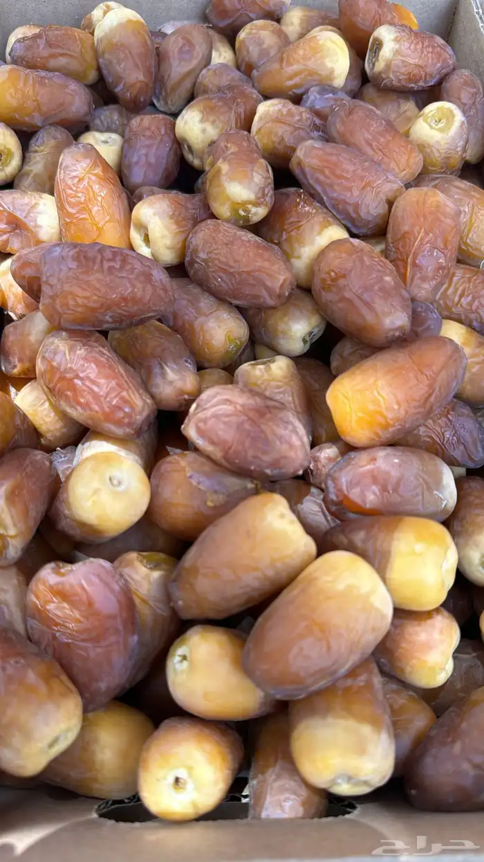 تمور رطب حايل الجاهزة للتبريد والتجميد 0