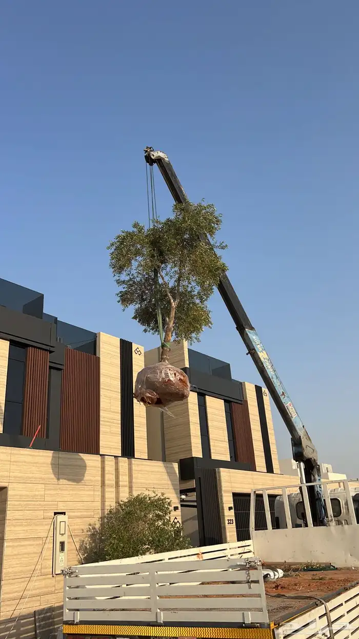 ونش كرين دينه بوم ترك Truck crane 1