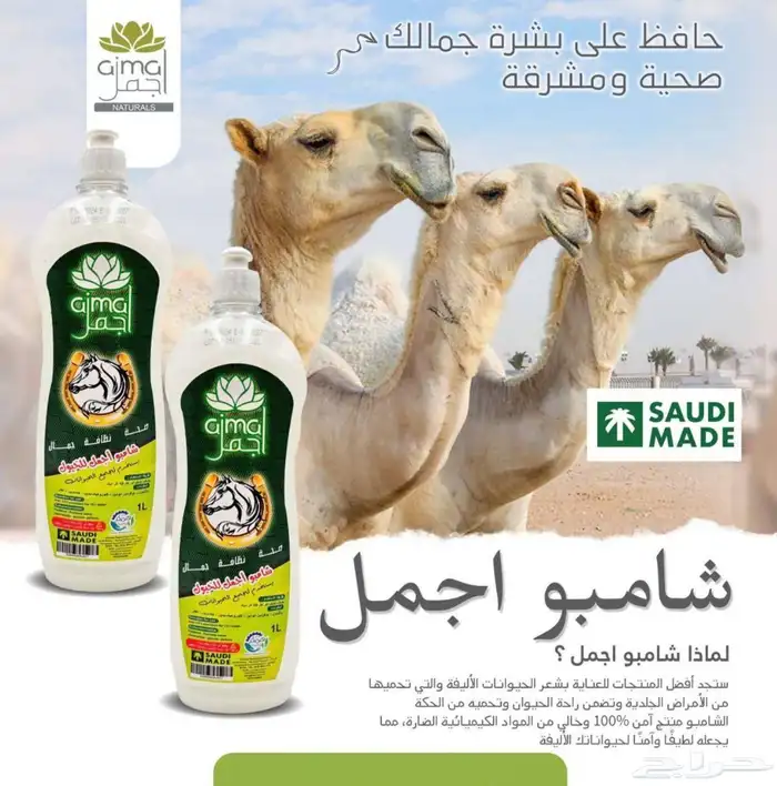 شامبو أجمل للخيول والابل وجميع الحيوانات الاليفة 2