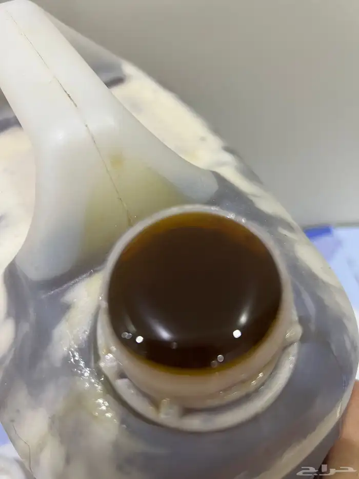 عسل سدر جنوبي الكميه محدوده 1