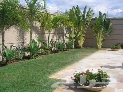 نوفر نباتات داخليه و صيانتها 71