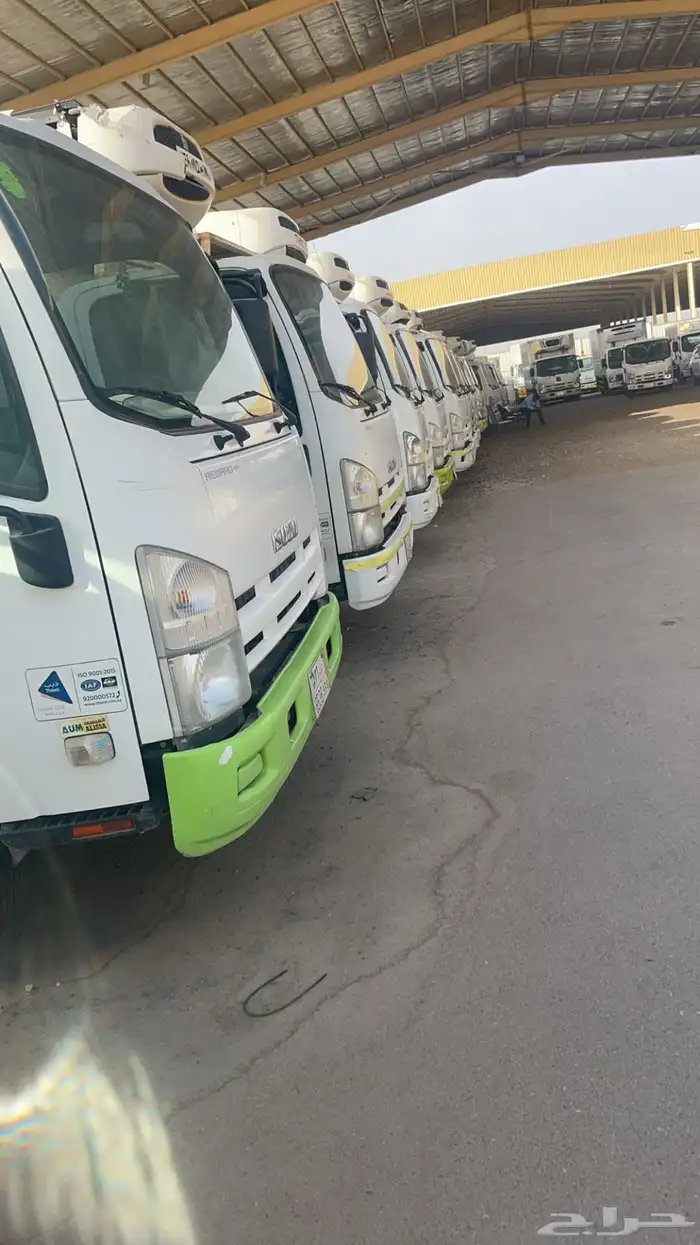 للإيجار ثلاجات تبريد تجميد 1