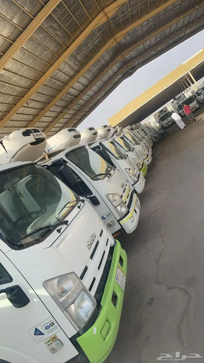 للإيجار ثلاجات تبريد تجميد 0