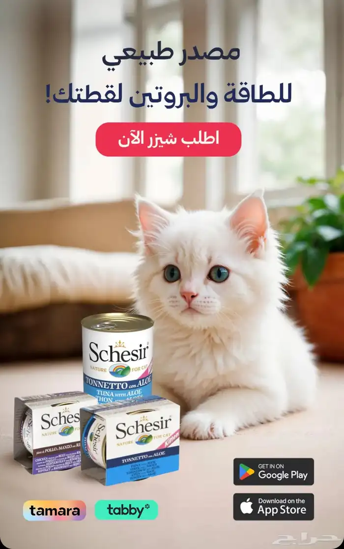متجر مودي للحيوانات الاليفة 5