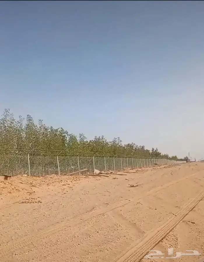 تركيب شبوك وسواتر 5