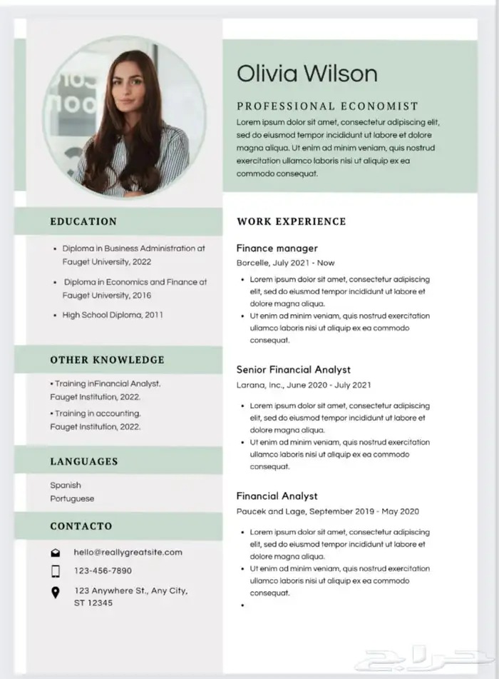 تصميم سيرة ذاتية ب احترافية ودقة CV 3