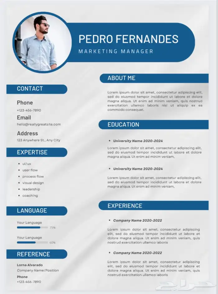 تصميم سيرة ذاتية ب احترافية ودقة CV 5