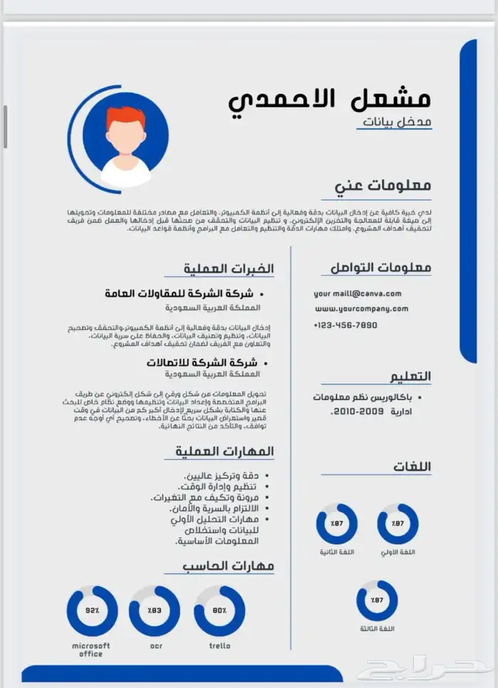 تصميم سيرة ذاتية ب احترافية ودقة CV 13