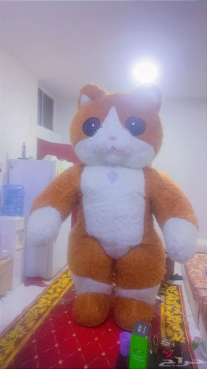 تاجير شخصيات اليوم الوطنى ورسم ع الوجه 7