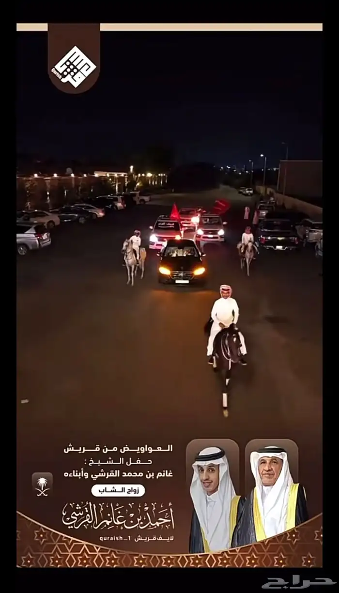 خيل وفرسان جاهزين للأحتفالات وللأعلانات 1