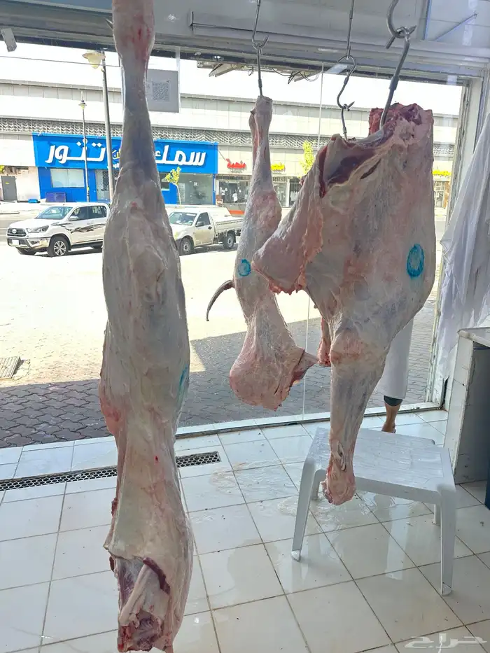 ملحمة نوادر الجزيرة للحوم الطازجة 83