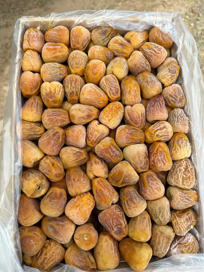 تمر سكري مفتل فاخر 0