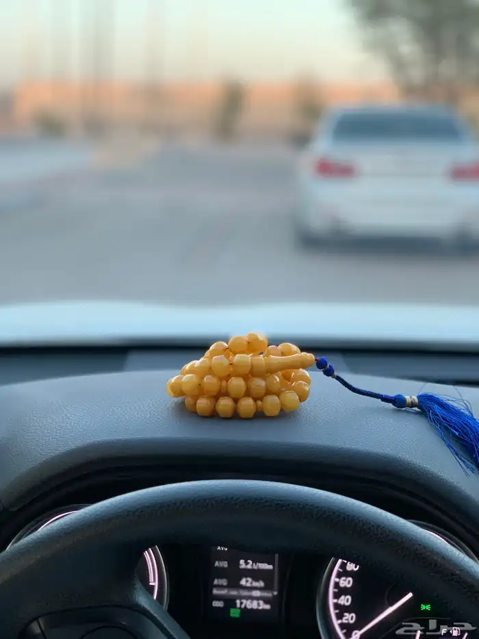 مسبحة كهرمان 1