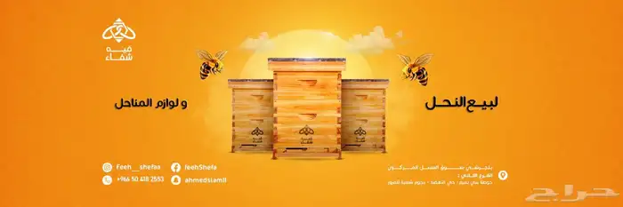 نحل مصري مرزوم 14