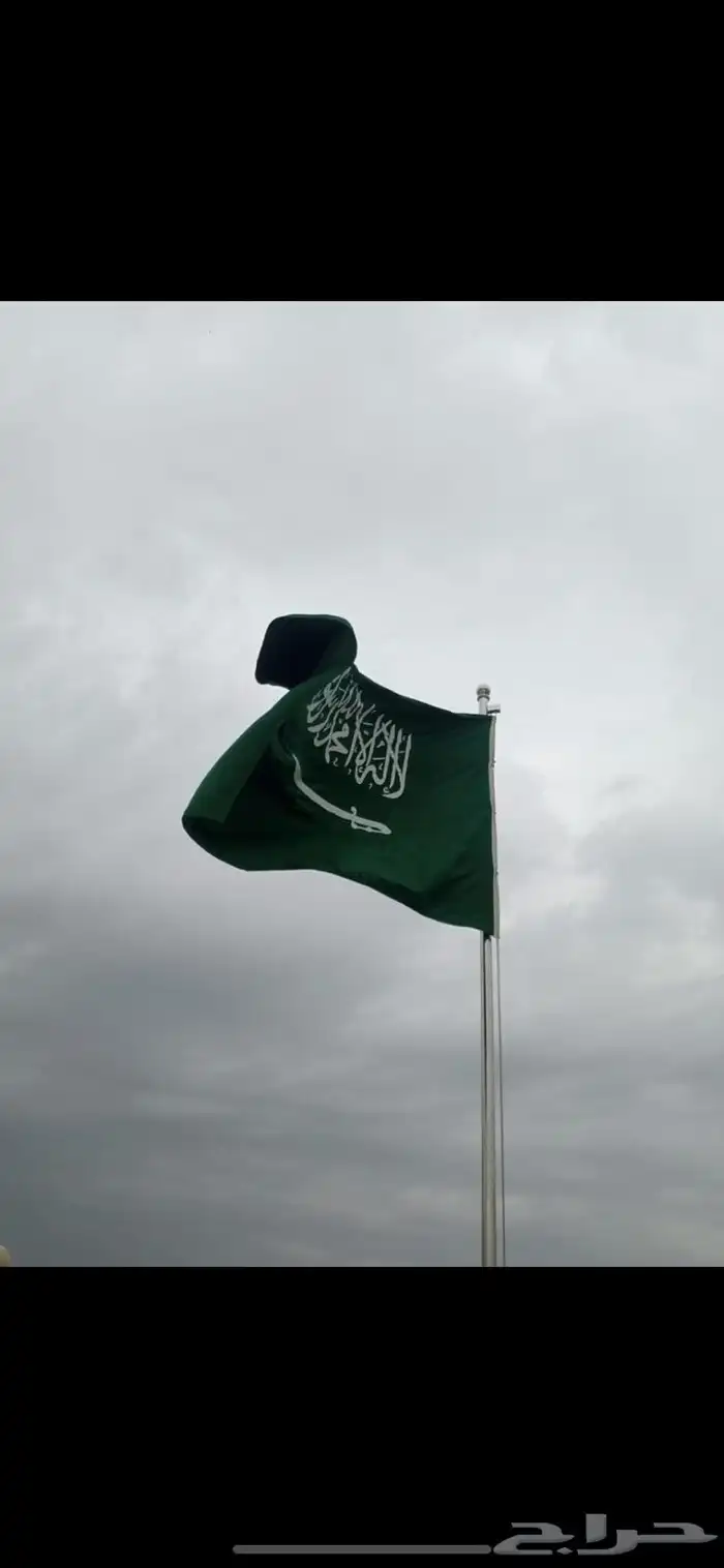 اعلام سواري البوم الوطني السعودي 95 69