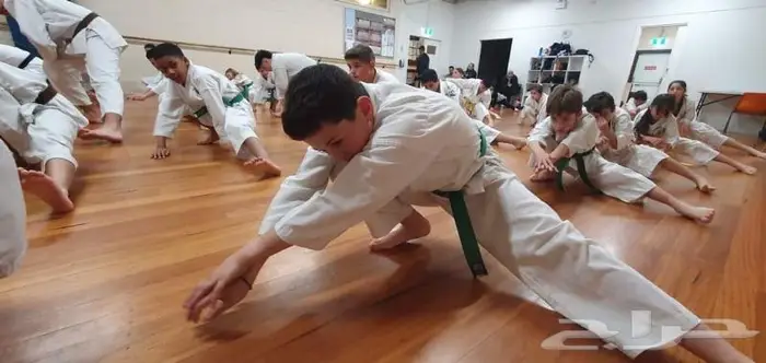 مدرب كاراتية للتدريب الخاص والمجموعات 0