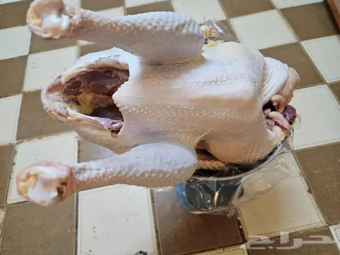 ديك رومي ذبح من 5 إلى 6 كيلو 0