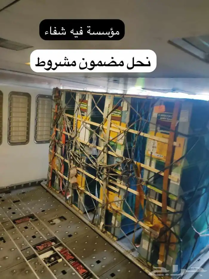 نحل مصري مرزوم 15