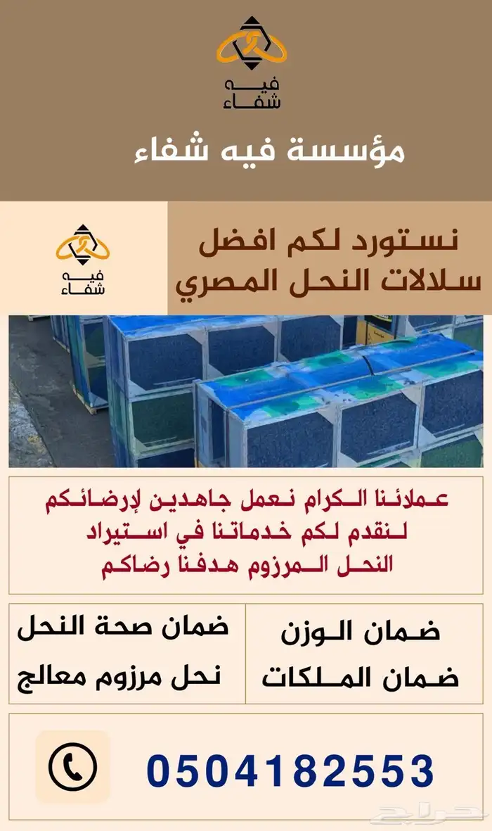 نحل مصري مرزوم 12