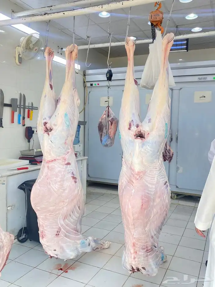 ملحمة نوادر الجزيرة للحوم الطازجة 80