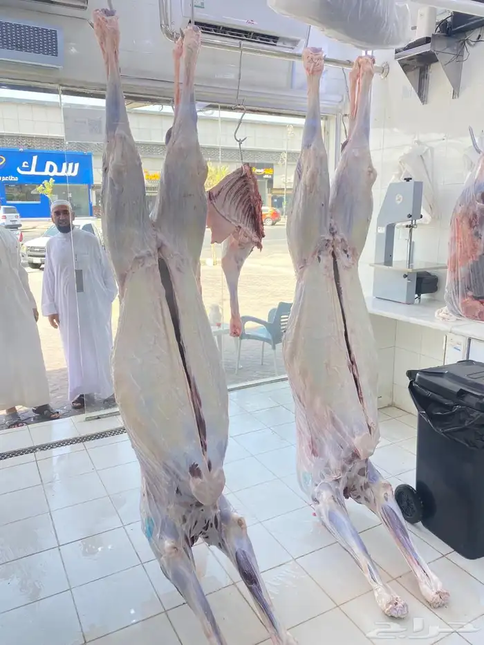 ملحمة نوادر الجزيرة للحوم الطازجة 79