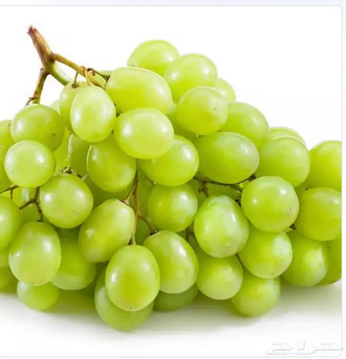 للبيع عقل تين ورمان و عنب 4