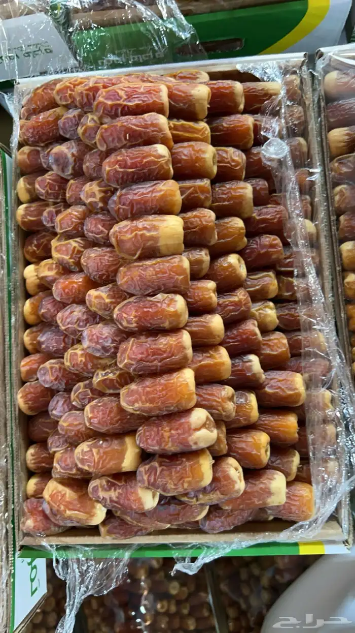 تمر صقعي فاخر 3
