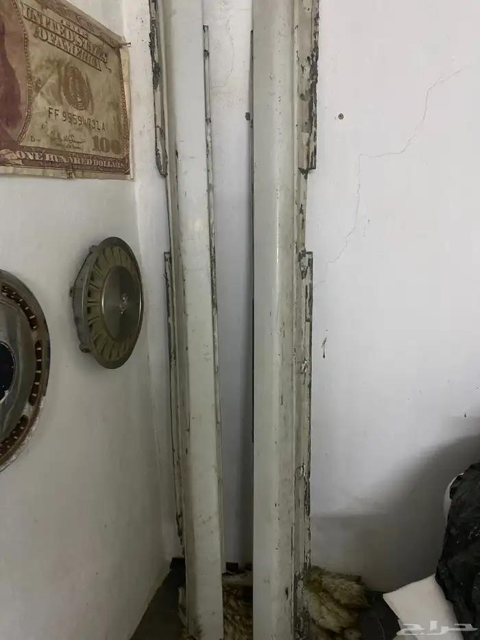 سمكات كابرس 0