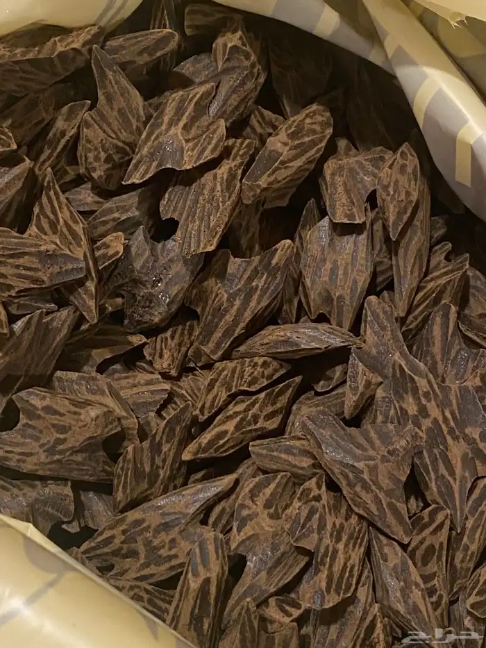 عود كمبودي تايقر سعر الجملة 1