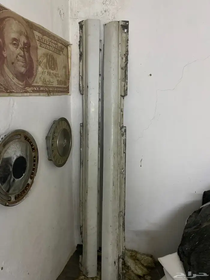 سمكات كابرس 1