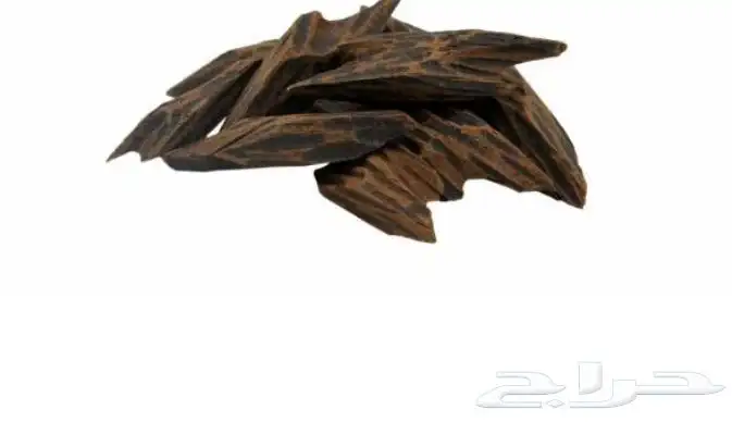 يوم التاسيس 4